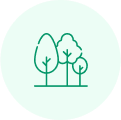 trees icon