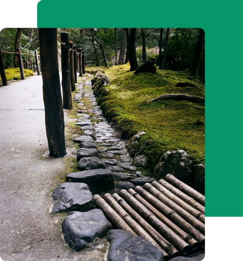 A serene path featuring a wooden bridge covered in lush green moss