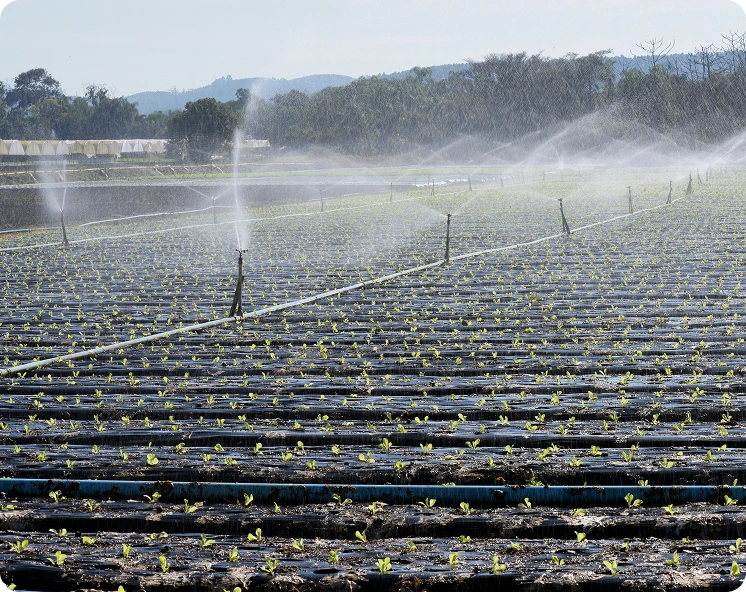 Bundle Your Irrigation With These Services Img