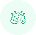 tree and leaves icon