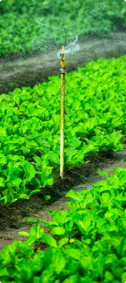 Our Installation Process Img