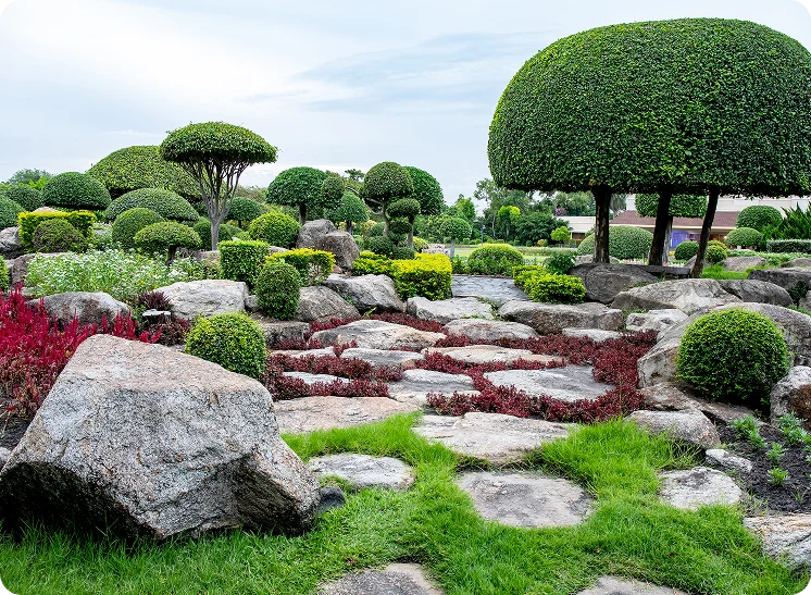beautiful stony landscape