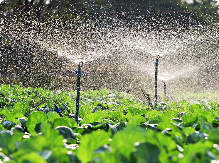 Residential and Commercial Capabilities Img