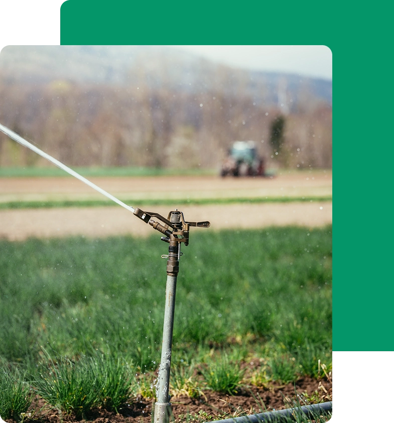 Why Proper Irrigation Matters Img